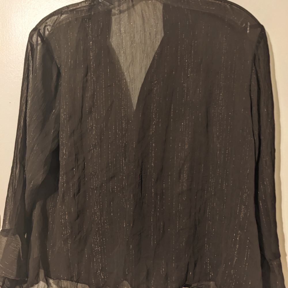 Ladies Blouse Sheer Sparkle Ruffle Buttons Long Sleeve